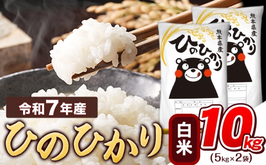 令和7年産  白米 ひのひかり 10kg 《7-14日以内に出荷予定(土日祝除く)》 令和7年産 熊本県産 ふるさと納税 精米 ひの 米 こめ ふるさとのうぜい ヒノヒカリ コメ お米 おこめ