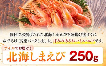 羅臼産北海しまえび(小) ボイル冷凍250g エビ 海老 北海シマエビ 羅臼町 北海道 海産物 魚介 真空 生産者 支援 応援