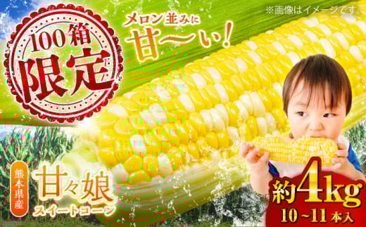 【6月上旬より順次発送】【数量限定】スイートコーン (甘々娘) 約4kg (10〜11本) / スイートコーン とうもろこし 高糖度 かんかんむすめ【なかむら農園】 [BHCJ001]