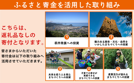山口県萩市への応援寄付金[返礼品なし] 40,000円分