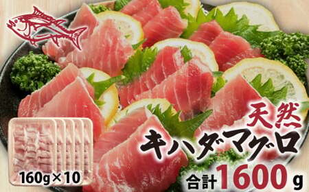 まぐろ 天然 キハダまぐろ 1600g まぐろ