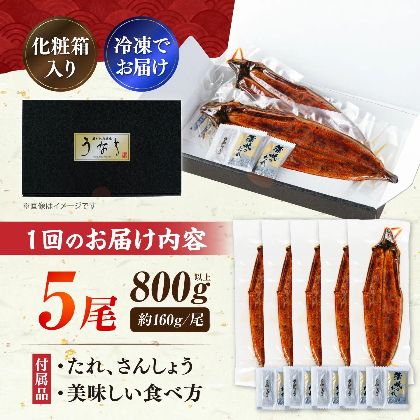 【全2回定期便】福岡県産 うなぎ 蒲焼 大5尾 800g VAD035 うなぎ