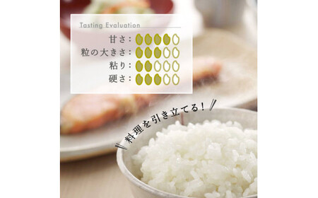 【6か月定期便】R7年産 新潟県産 こしいぶき 10kg （精米）