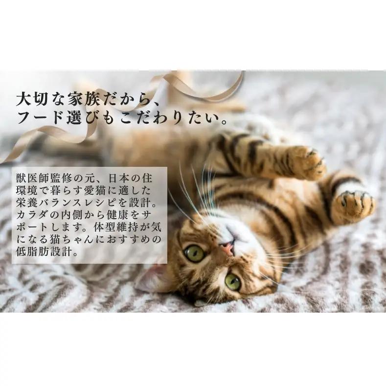 日本ペットフード ビューティープロ キャット 下部尿路の健康維持 低脂肪 1歳から 1.4kg（280g×5袋入）×8袋（ケース） キャットフード