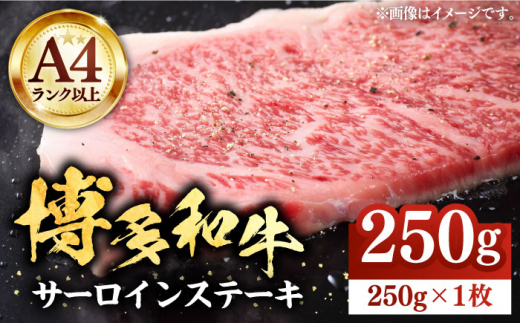 博多和牛 サーロインステーキ 250g×1枚【株式会社Meat Plus】《豊前市》[VBB009] 牛肉 和牛 黒毛和牛 ブランド牛 和牛 国産 サーロイン ステーキ 博多和牛