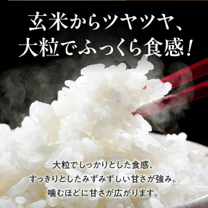 【令和8年度産】 先行予約 近江米『きらみずき』　化学肥料不使用米　5キロ×6回 偶数月お届け定期便（鮮度保持袋）