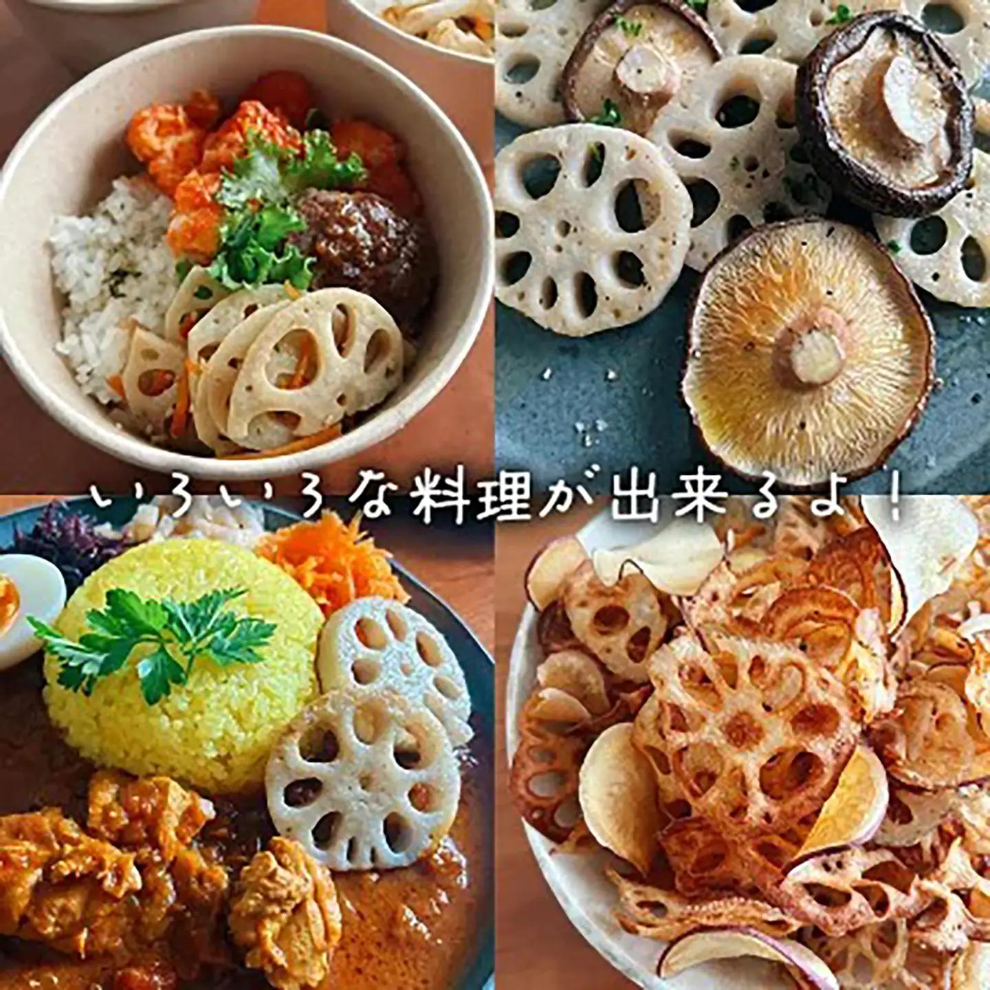 れんこん 朝採れ 2kg れんこん