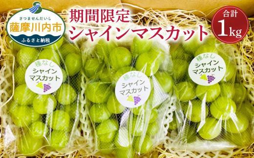 【数量限定】【先行予約】シャインマスカット 計1kg マスカット ぶどう　AS-2239