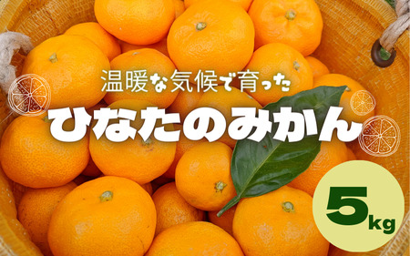 【先行予約】ひなたのみかん　5kg ※2024年12月頃に順次発送予定【期間限定・先行予約・2024/11/30まで】 / 田辺市 みかん 期間限定 先行予約 ミカン 和歌山 紀州【okm005】