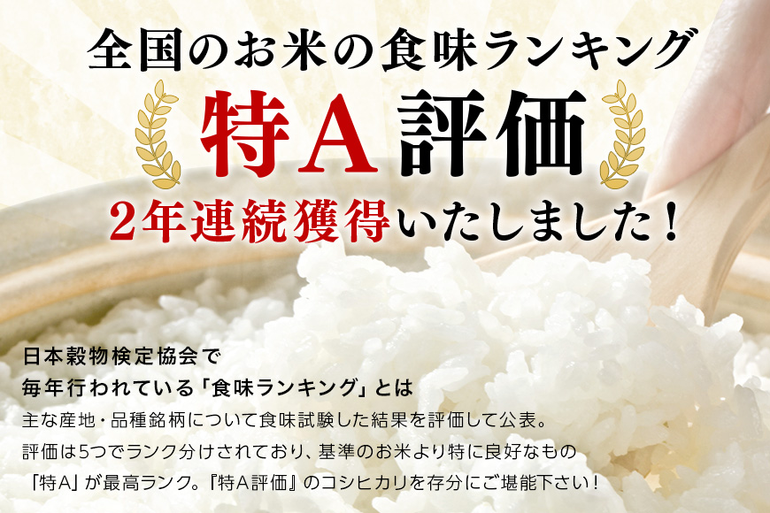 【3ヶ月定期便】令和6年産 コシヒカリ 茨城県 笠間市産 10kg (5kg×2袋) 計30kg 米 ご飯 新米