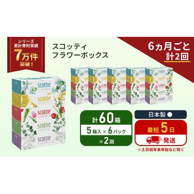 ふるさと納税 岩沼市 定期便 ティッシュ スコッティ 60箱 (5箱×6P)《計2 回》[No.5704-1129] |  | 01
