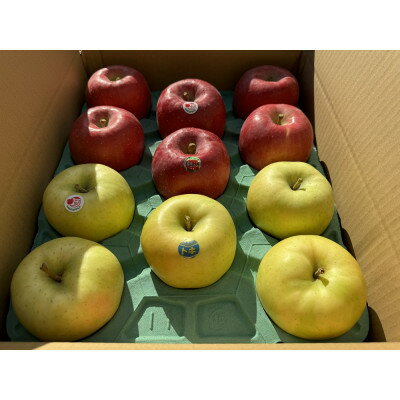 【ふるさと納税】早生ふじ&トキ　贈答用約5kg　りんご中生種、一押し詰合せ!　10月上旬より発送【配送不可地域：離島】【1338678】