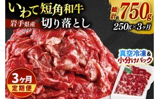 ＼3ヶ月連続 定期便／ 切り落とし 赤身 肉 牛肉 いわて 短角和牛 250g (総計 750g) 小分けパック 真空冷凍 | 牛肉 肉 赤身 短角 和牛 国産牛 ブランド牛 切り落し 大容量 牛丼 肉じゃが 煮込み 煮物 小分け 真空パック 数量限定 (AB111)