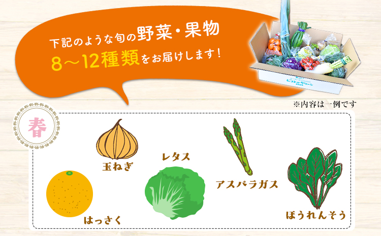 旬の新鮮野菜・果物詰合せセット たっぷり8-12品目 《30日以内に出荷予定(土日祝除く)》熊本県氷川町産 道の駅竜北