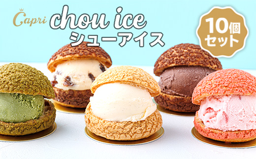 シューアイス GIFT BOX 10個セット　シュークリーム チョコ バニラ アイス お菓子 個包装 おやつ デザート スイーツ かわいい スウィーツ 洋菓子 小分け 一人暮らし 大人気 お取り寄せグ