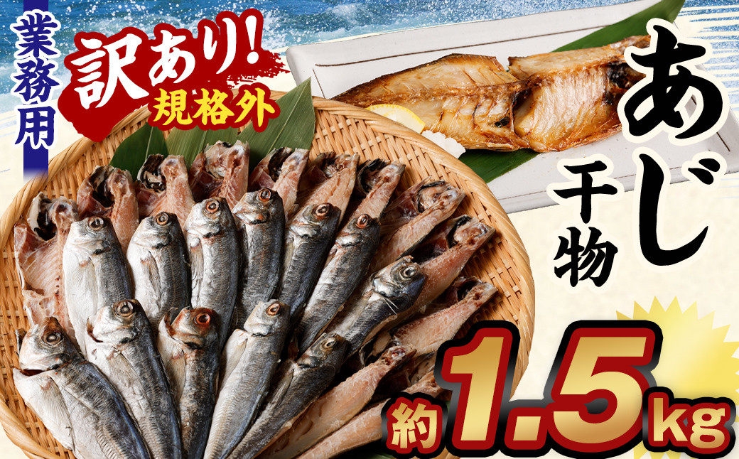 
【訳あり規格外】 業務用 あじ 干物 どーんと！ 1.5kg アジ 鯵 魚
