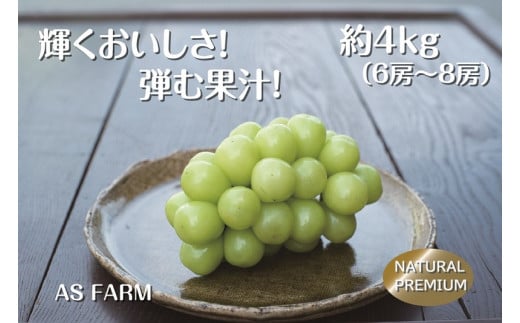 甲州市産シャインマスカット 約4kg 数量限定100セット【2025年配送】（ASF）H-145 【シャインマスカット 葡萄 ぶどう ブドウ 令和7年発送 期間限定 山梨県産 甲州市 フルーツ 果物】