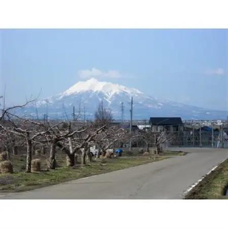 【百年続く青森のりんご農家直送】葉とらずサンふじ 　約3kg　贈答用【12月から発送開始】_果物・フルーツ りんご  リンゴ 林檎_【配送不可地域：離島】【1506061】