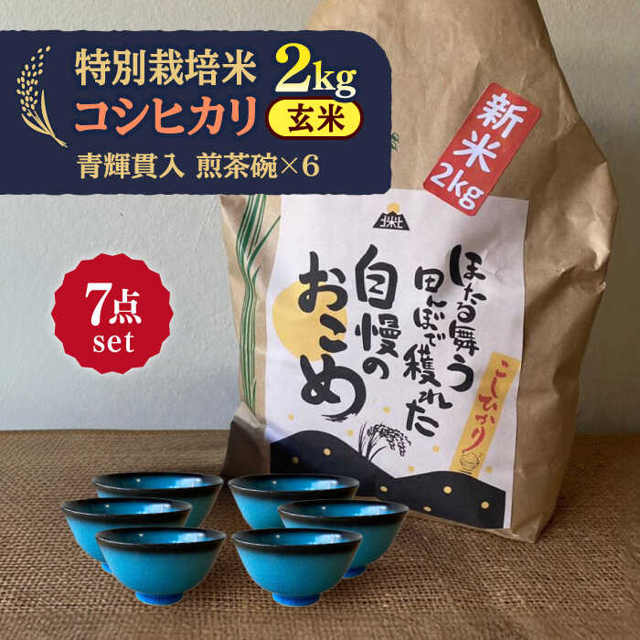 【ふるさと納税】【令和7年産】 玄米 コシヒカリ 特別栽培米 （2kg）+ 【美濃焼】 青輝貫入 煎茶碗 （6個） 多治見市 / 山松加藤松治郎商店 [TEU064]