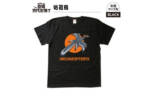 恐竜・古代生物Tシャツ　始祖鳥 049　サイズＭ（レギュラー）