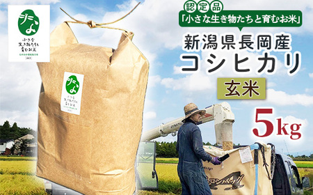 25-8GC051【玄米】新潟県長岡産コシヒカリ5kg【「小さな生き物たちと育むお米」認証品】