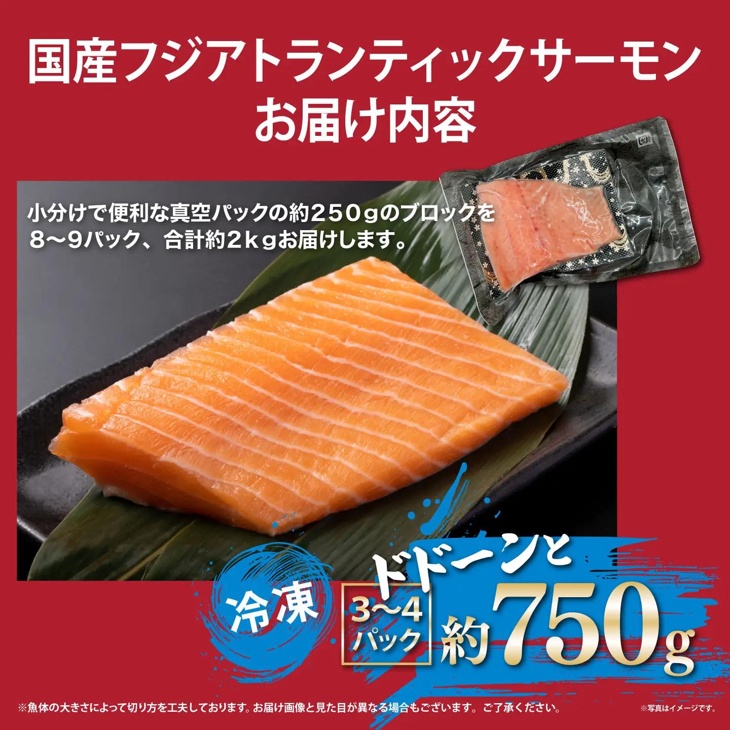 国産サーモン 冷凍 3～4P 約750g サーモン