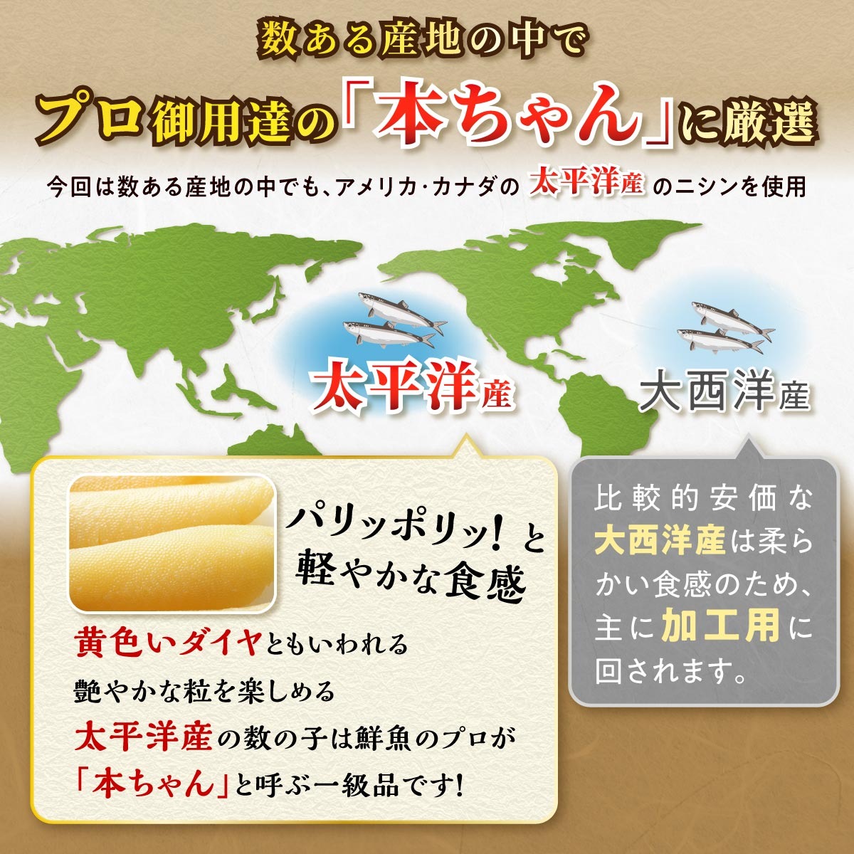 大手百貨店も扱う品質「味付け数の子」おせち お正月 数の子 かずのこ つまみ 北海道 海鮮 人気 グルメ 食べ物 魚卵 魚 魚介 北海道 白糠町_イメージ4