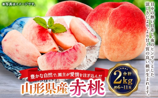 
										
										豊かな自然で、園主が愛情を注ぎ込んだ桃（赤桃） 2kg 【2024年8月上旬～8月下旬に順次発送予定】
									