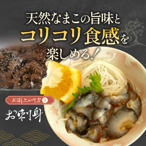 【先行受付開始！】北海道浦河産『活なまこ』1kg※不在日・日付指定対応不可※[06-1591]