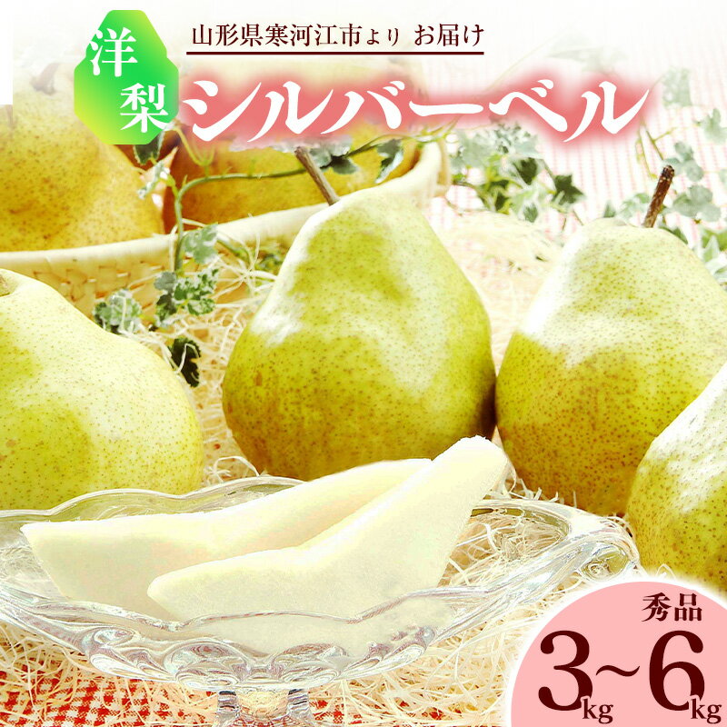 【ふるさと納税】洋梨 「追熟 シルバーベル 」 3kg - 6kg 秀品 山形産 【2025年12月頃〜2026年1月頃発送予定】／ お取り寄せ 果物 くだもの フルーツ 果実 デザート おやつ 果汁 ご当地 特産 産地直送 冬 東北 山形県 令和7年産 洋 梨 さわやか