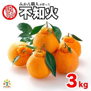 先行受付 訳あり 不知火 3kg 【発送期間：2月中旬～なくなり次第終了 】 しらぬい かんきつ 柑橘 みかん 蜜柑 でこぽん おやつ きず 傷 ふぞろい 不揃いフルーツ 果物 くだもの 果実 愛媛県 愛南町 みかん職人武田屋