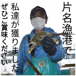 ボイル ワタリガニ 3杯 計700g 冷凍 かに カニ 蟹