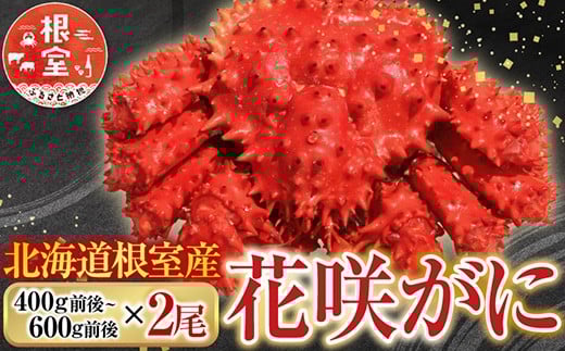 A-76032 【北海道根室産】花咲かに400g前後～600g前後×2尾
