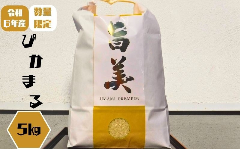 
ぴかまる 五十棲[№5223-0146]
