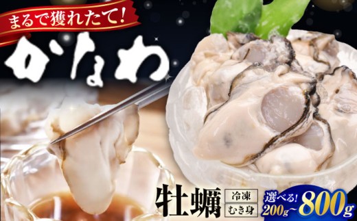 広島牡蠣の老舗！安心・安全の新鮮牡蠣【瞬間冷凍】牡蠣 むき身 選べる 魚介類 和食 海鮮 海産物 広島県産 江田島市/株式会社かなわ [XBP051] 牡蠣 生食 冷凍 むき身 殻付き 殻付 殻 かき カキ 生牡蠣 広島牡蠣 オイスター カキフライ 魚介類 魚介 貝類 海鮮 広島県産 国産 産地直送 贈答 ギフト 特産品