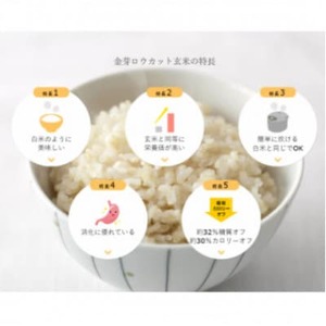 【2ヵ月毎定期便】金芽ロウカット玄米4kg(2kg×2袋)ふっくら柔らかい美味しさ!全2回【4056788】