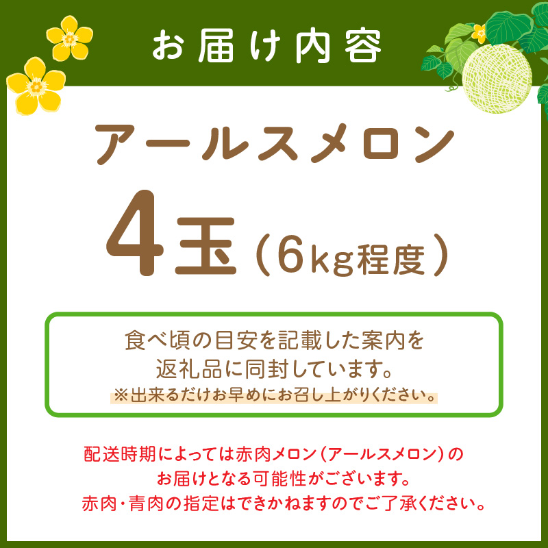 斎藤農園のアールスメロン（マスクメロン）4玉 6kg程度≪先行予約2027年6月下旬以降発送分≫【0250-3】