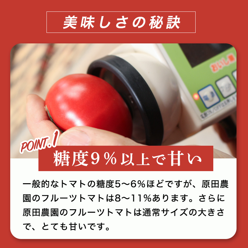 【a013】フルーツトマト糖九郎（Mサイズ）1kg箱15玉満杯詰め　2026年3月〜5月発送分