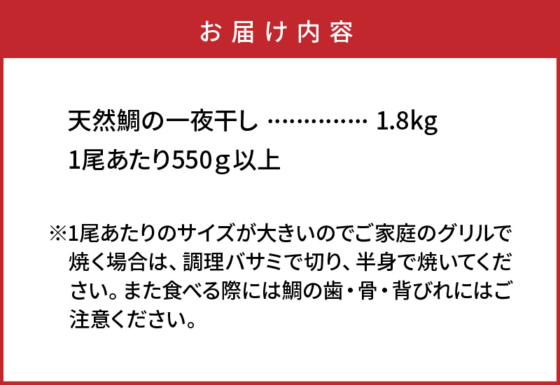 驚愕の大きさ！訳あり天然鯛の一夜干し1.8kg_1554R
