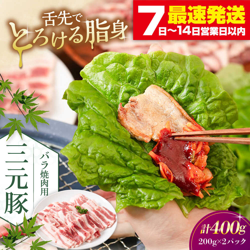【ふるさと納税】三元豚 バラ 焼肉用 400g (200g×2P)《喜茂別町》【平田牧場】 肉 豚肉 豚バラ バラ カルビ 焼肉 スライス 冷凍 冷凍配送 北海道 平田牧場 [AJAP134] 14000 14000円