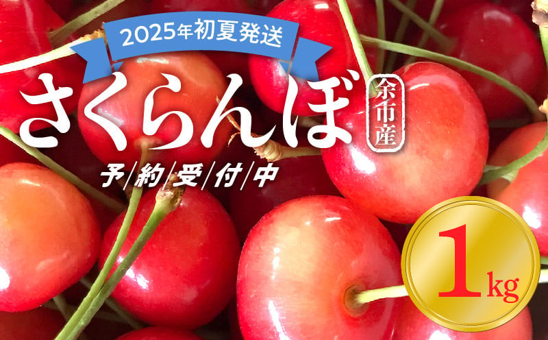 
【2025年初夏発送】さくらんぼ 毎年大好評！こだわりの東谷農園 余市産 さくらんぼ 1kg
