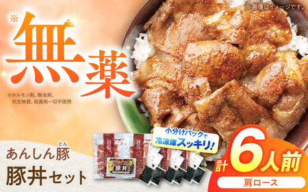 豚丼セット 計6人前 藤井ファーム [AWAF003]豚丼