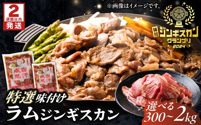 
                  【選べる容量】【スピード配送】上田のラムジンギスカン 300g~2kg | 株式会社上田精肉店 [BNAM038] ジンギスカン じんぎすかん jinngisukann 味付けジンギスカン ラムジンギスカン 羊肉 ラム肉 ラム ラム肩ロース 肩ロース 北海道グルメ 味付け肉 味付き肉 北海道名物 ご当地グルメ 北海道
                