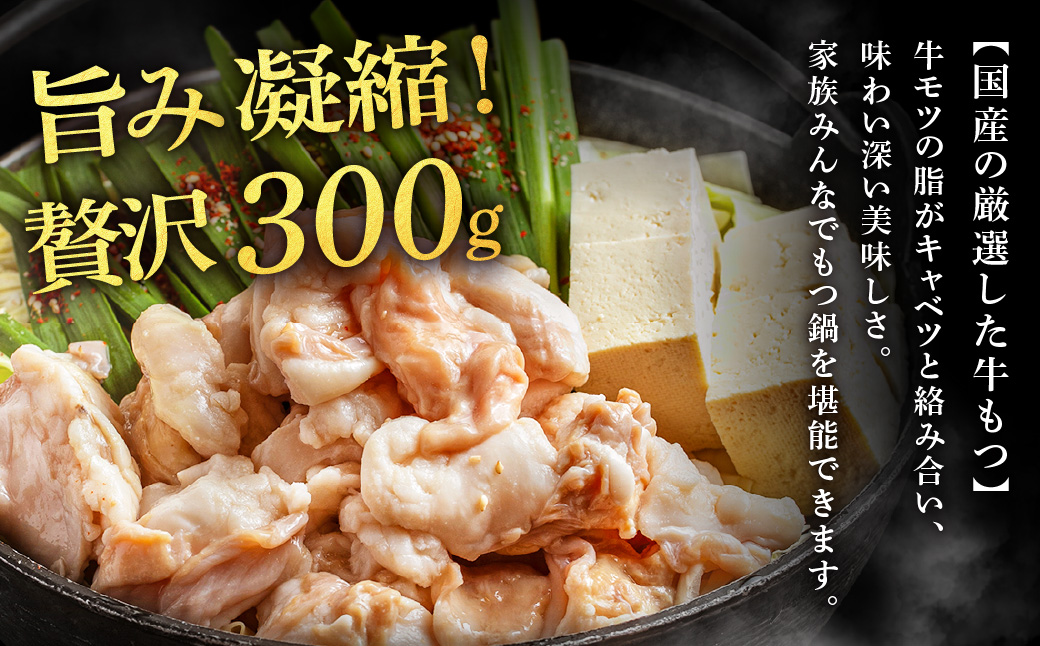 AA422.魚住商店【国産牛もつ使用】特製塩もつ鍋セット2～3人前・〆のチャンポン麺付き
