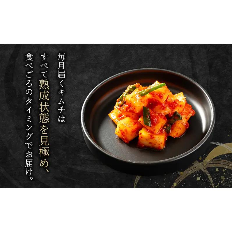 本場韓国キムチ定期便！ 3ヵ月に1回　計4回お届け 定番の人気3種+おすすめ1種  キムチ おつまみ 韓国食材 韓国料理 静岡県 袋井市