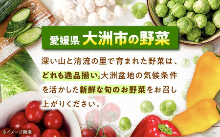 【9月下旬より順次発送】大洲産洗い里芋（水入り）500g×4袋 愛媛県大洲市/沢井青果有限会社 [AGBN033]野菜 里芋 さといも 