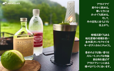 キャンプGIN 200ml×2本セット キャンプ屋さん監修 アウトドア専用のお酒 【アーベントイアー】 キャンプジン クラフトジン ソロキャン BBQ