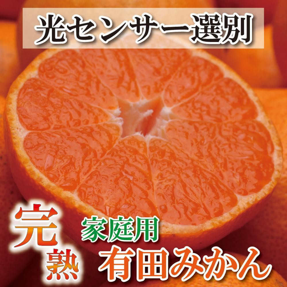 
＜11月より発送＞家庭用 完熟有田みかん5kg+150g（傷み補償分）訳あり
