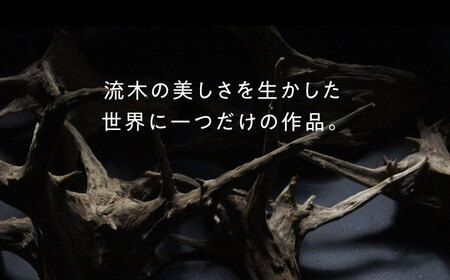 W Bulb Roots pendantlight ペンダントライト 糸島市 / WOOD'ARBRE(ウッドラヴル)【TIME】 インテリア 照明[ADC004]