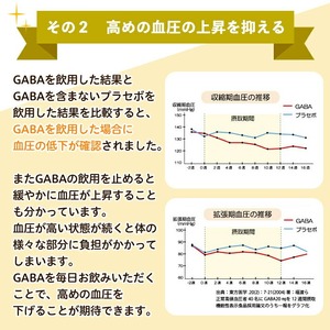 No.1286-A ＜定期便・全3回(隔月)＞GABA100(1袋 62粒入・2袋×3回 計6袋) 鹿児島 日置市 健康食品 機能性表示食品 サプリ 栄養バランス 食生活 安心安全 デスクワーク スト